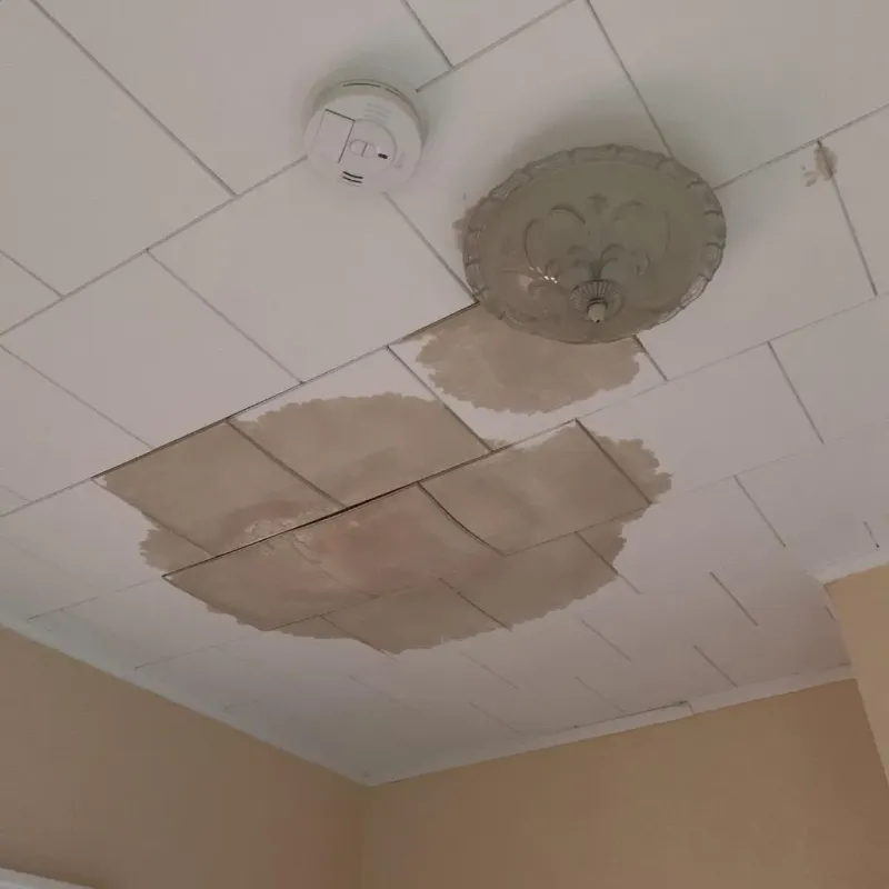 Ceiling Water Damage Repair in Crosby, ND