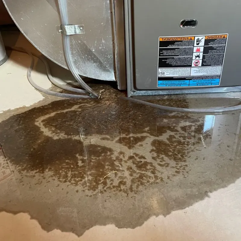 Pipe Burst and Leak Restoration in Crosby, ND